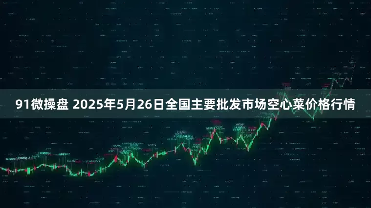 91微操盘 2025年5月26日全国主要批发市场空心菜价格行情
