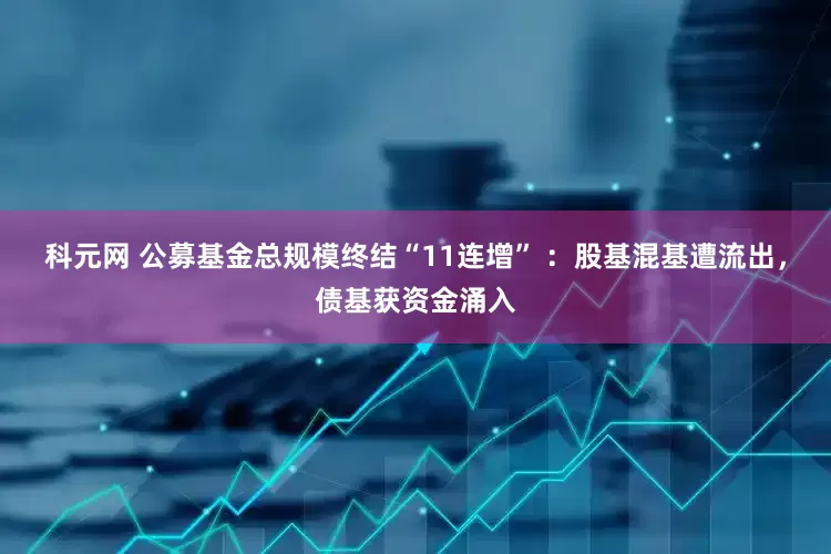 科元网 公募基金总规模终结“11连增” ：股基混基遭流出，债基获资金涌入