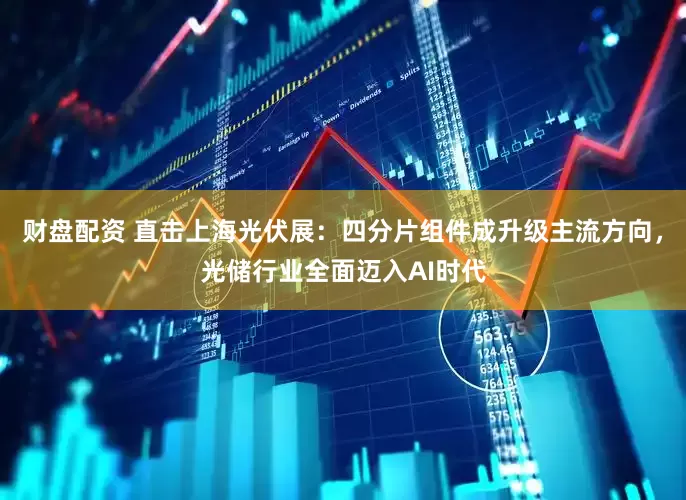 财盘配资 直击上海光伏展：四分片组件成升级主流方向，光储行业全面迈入AI时代